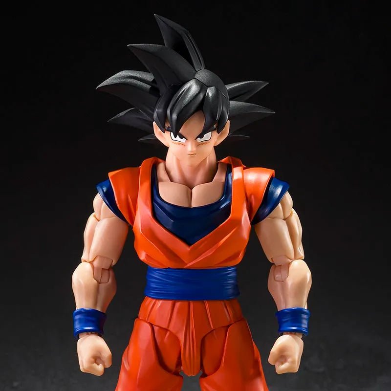 S.H.Figuarts Son Goku - Vault 82