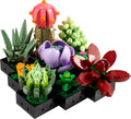 Succulents - Vault 82